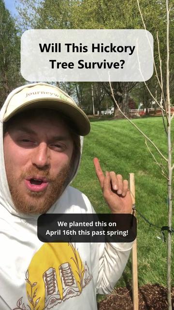 @Andrew The Arborist