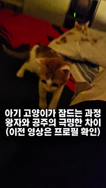 @🍩이상사&times;234🍩