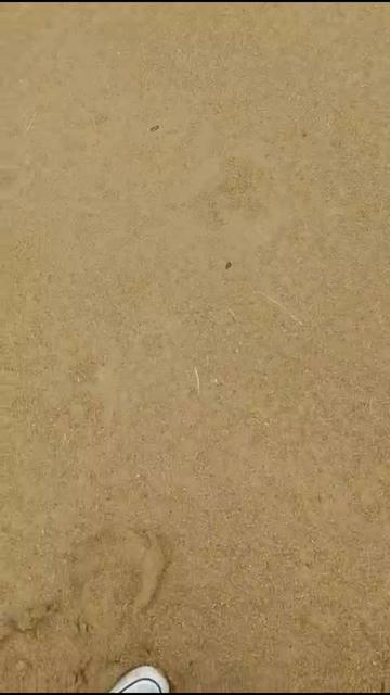 @josepeman23
