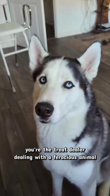 @Freya & Kuma