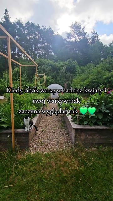 @Sylwia