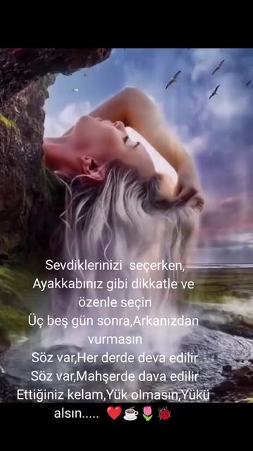 @BİR SERÇENİN GÖZYAŞ🕊️🕊️🕊️