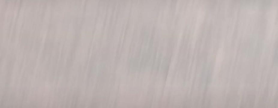 @harshalpatil7245