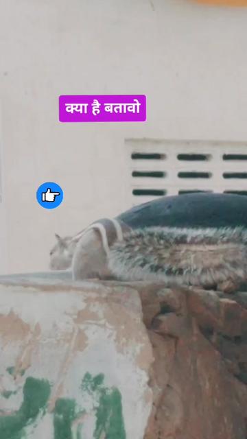 @Nadeem khan