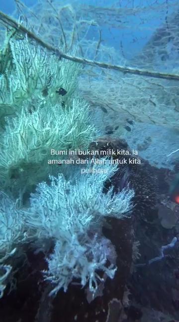 @SeaVoiceDivers