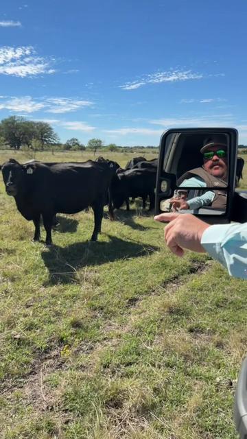 @Bar 7 Ranch