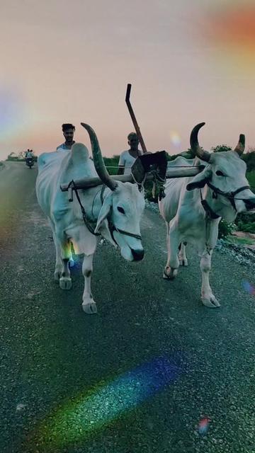 @👑Manish 💫Sharma👑