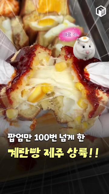 @제주톡톡