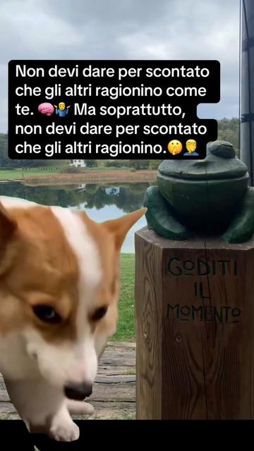 @antonellarizzo962
