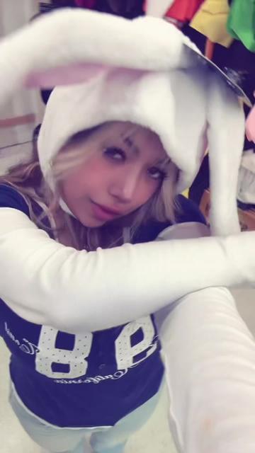 @🐰