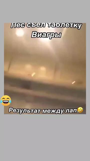 @Chillszone🤣