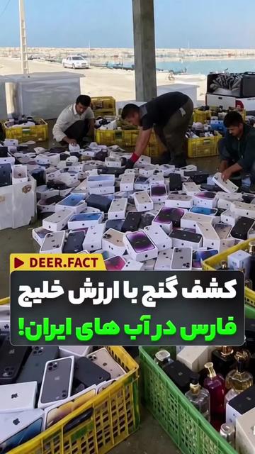 @فکت مغز
