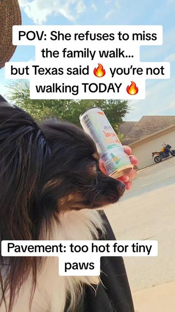 @TheLittleLunaBean
