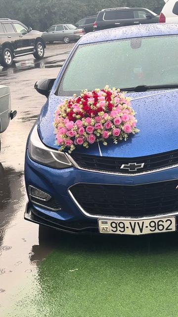 @Elsen_002