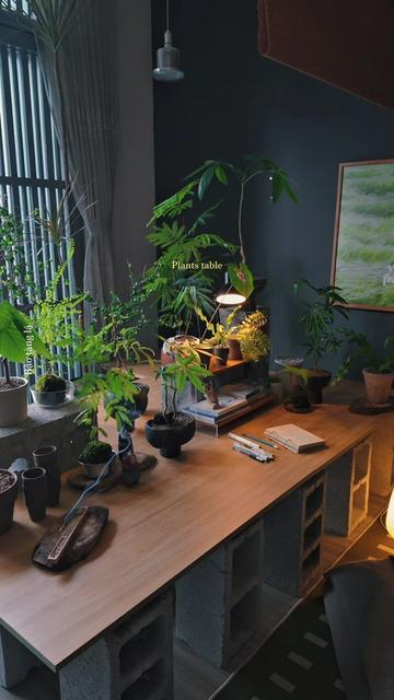 @Bảo t&agrave;ng l&aacute;