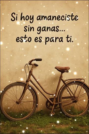 @✨Carlos 👍✨