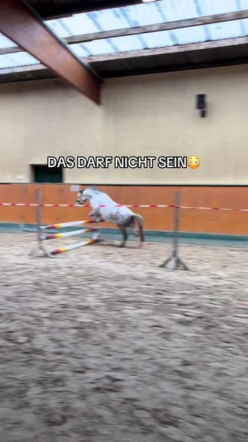 @Shanea & ihre Ponys &hearts;️🐴