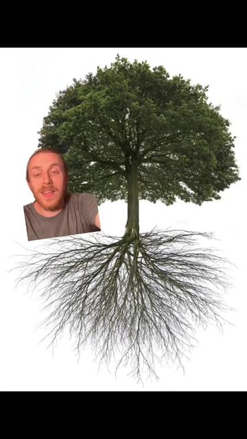 @Andrew The Arborist