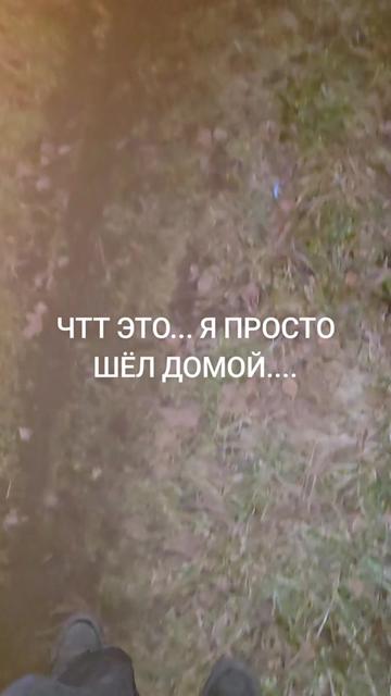 @фибинеко💥