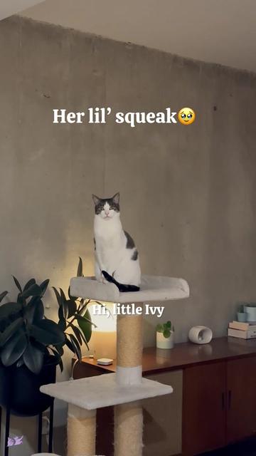 @Lil’ Ivy & Lux 🧚🌱🩵