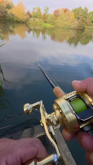 @BF Angler