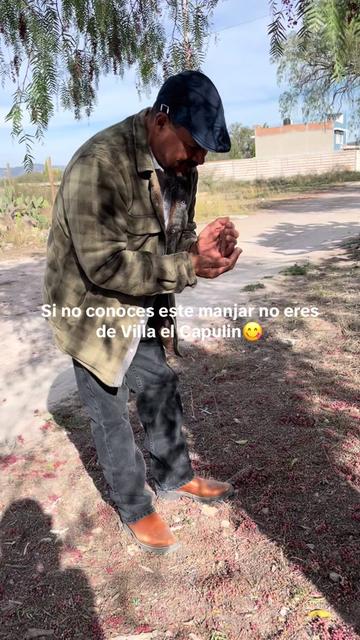 @Adolfo Lopez Rubi945