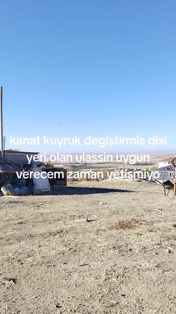 @🎲🎲oyunkusu.kirsehir40🎲🎲
