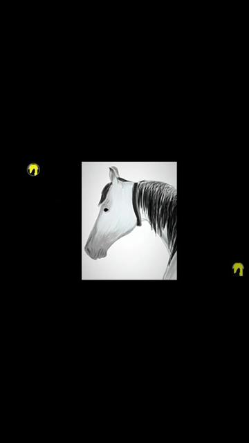 @🐎Mr ભોજાવદર વાળા🐎