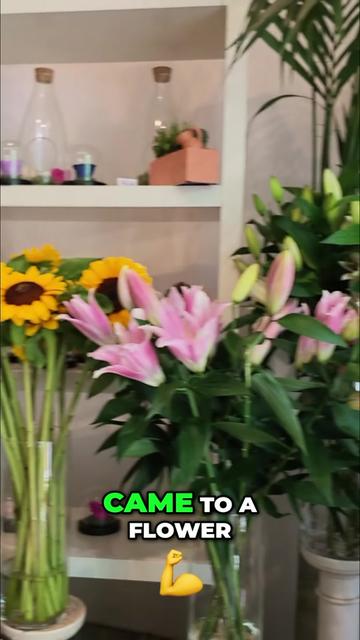 @๐ธ DRE_FX_WARROOM ๐ธ