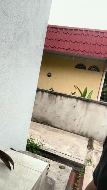 @Jangan Lokoh