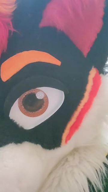 @Luco Foxxo
