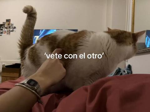 @bianca
