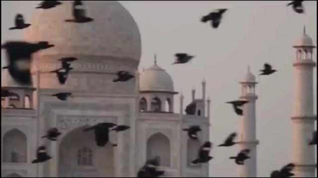 @Tera dewana :- PÂGÃL