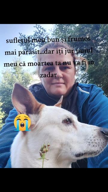 @Marinela Pap
