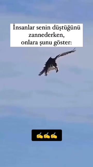 @modernsozluk