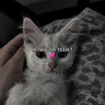 @ХХИКА