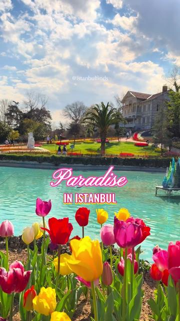@IstanbulFinds🇹🇷