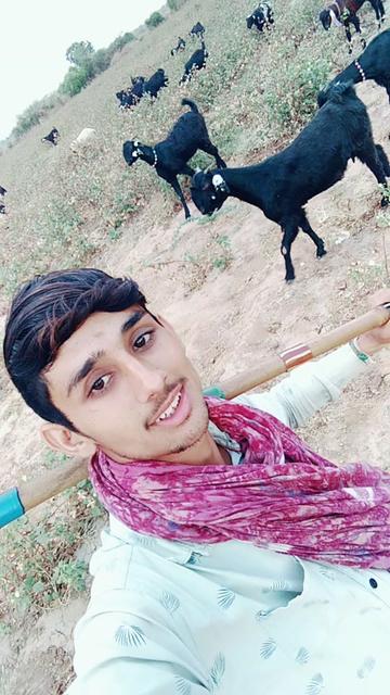 @Rabari keshra