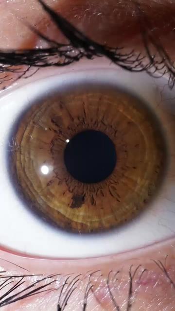 @EyesHunter