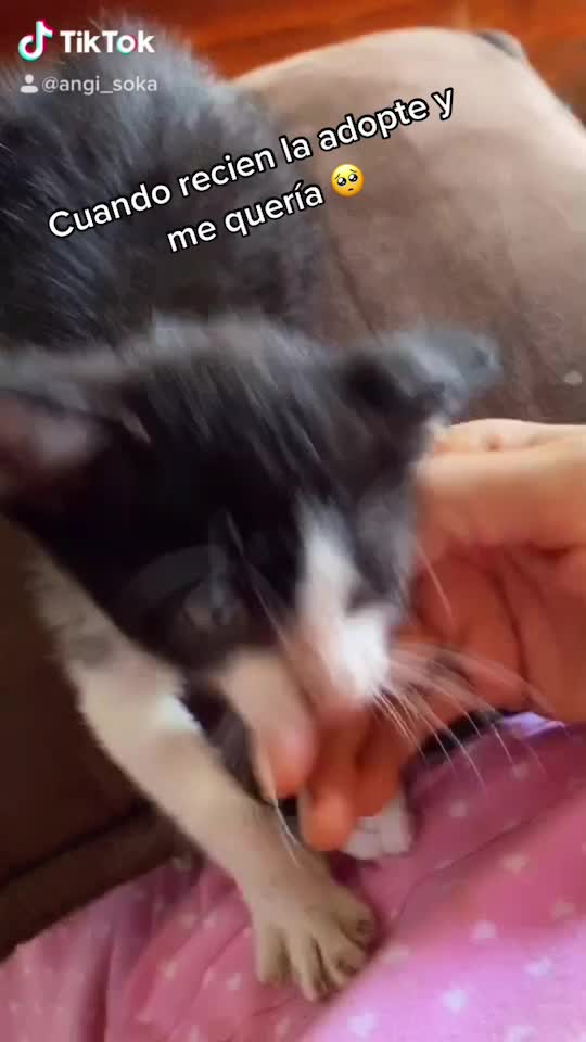 @Angie Ramos