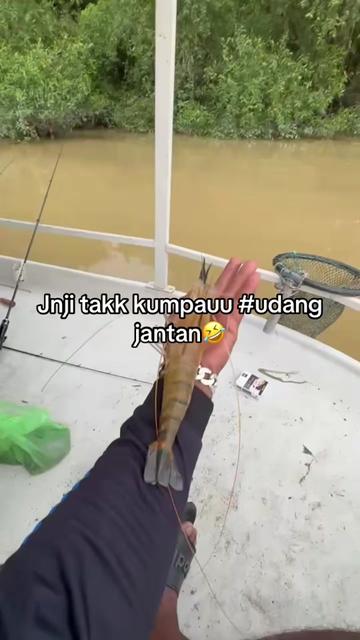 @Terpaling_Areyoii96