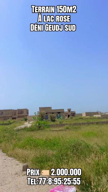 @S&eacute;n&eacute;gal dakar habitat 🇸🇳