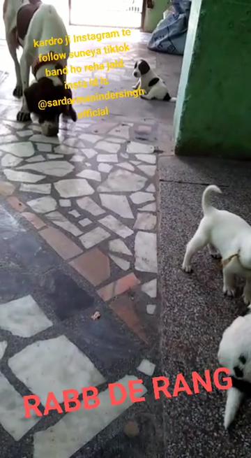 @user90812515869