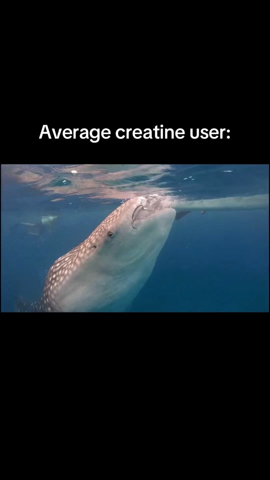 @Marc