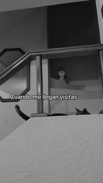 @Diana Placebo