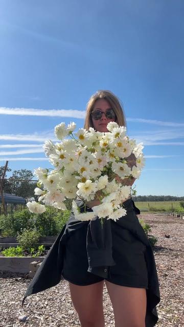 @Kristina | Flowers & Glass art