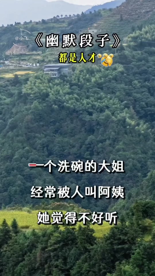 @小飞