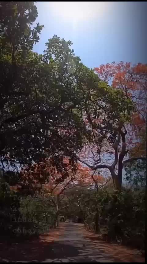 @Ria111102