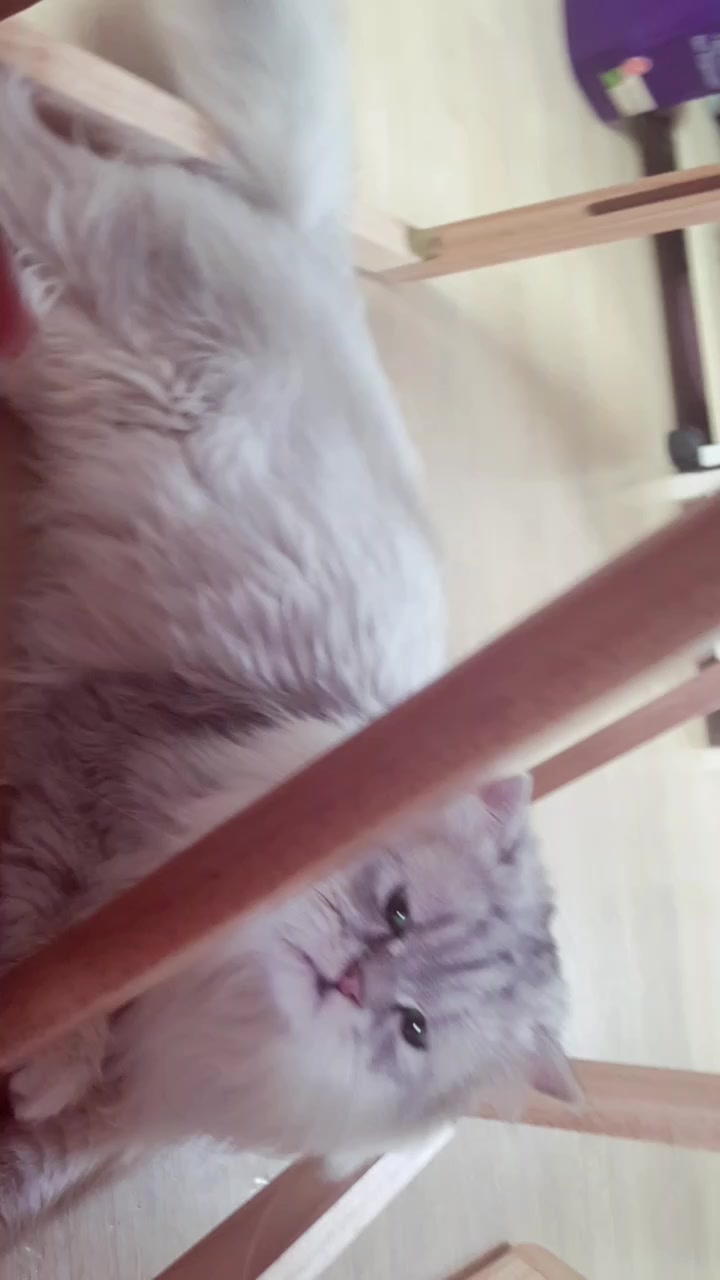@ㅇㅅㅇ