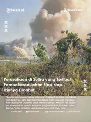 @Tribunnews Sultra Official